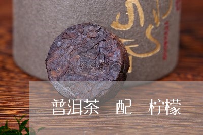 普洱茶 配 柠檬/2023041133837